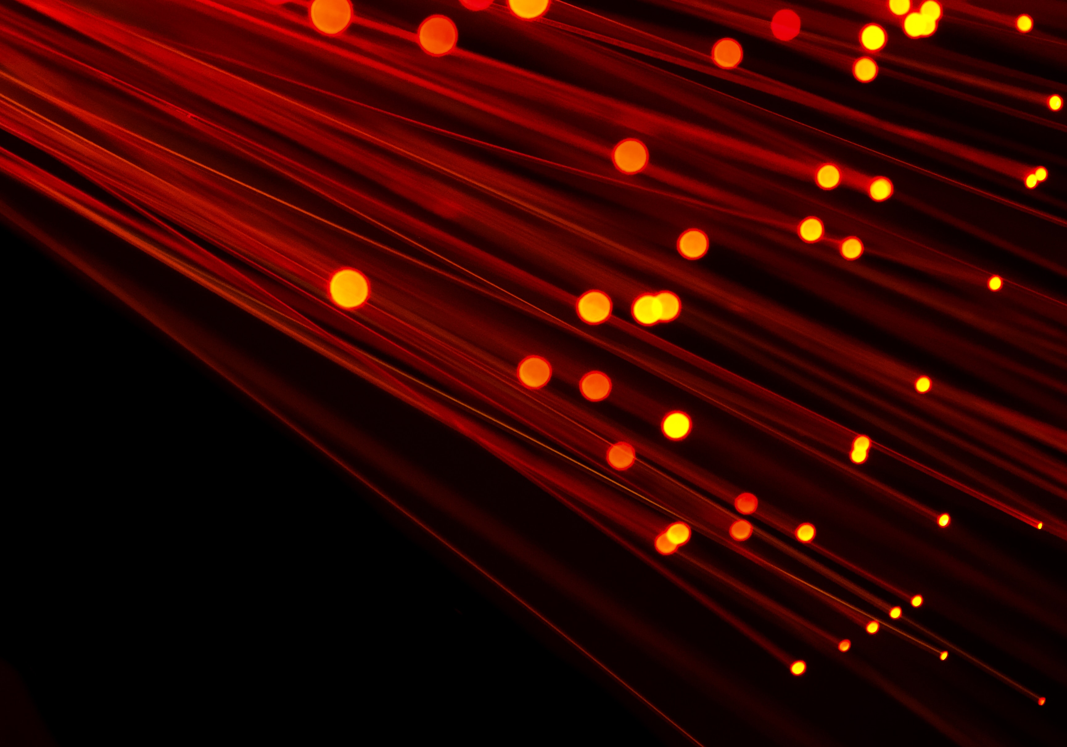 Exposed Fiber-Optic Internet cables made up of thin strands of glass or plastic.